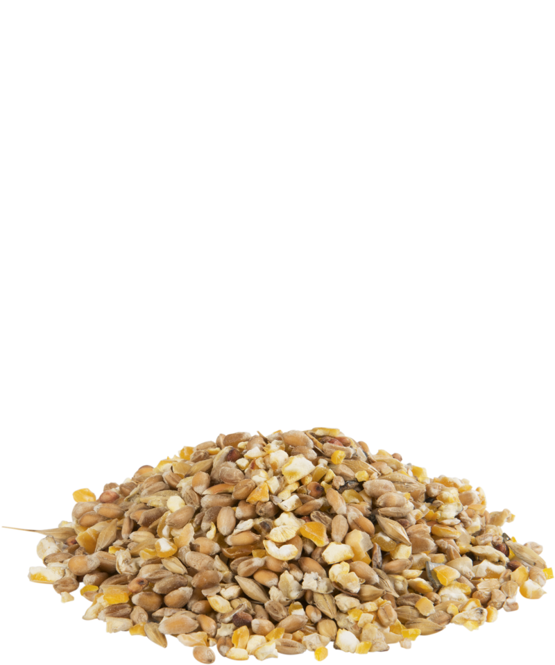 Gramix Poultry Mix- Grit 20kg