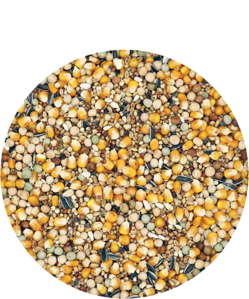 Mariman Standard BS Without Barley 25kg