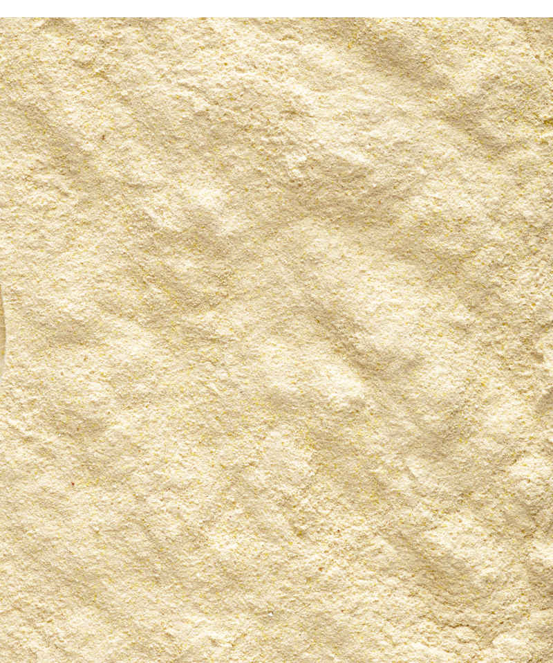 Nutribird Handmix 500gm