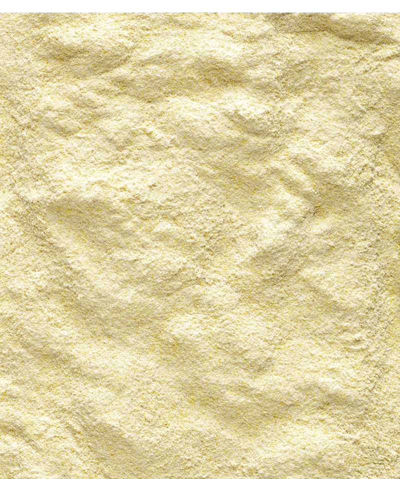 Nutribird A18 Lori 800gm