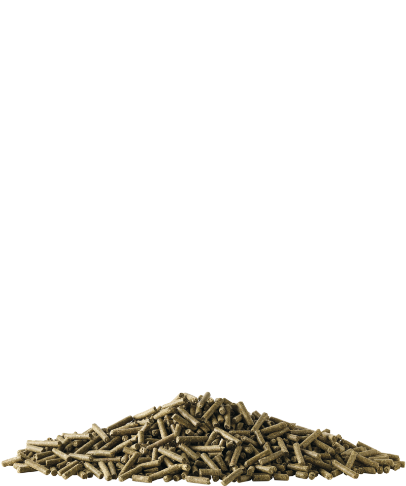 Tradition Pellet 20kg