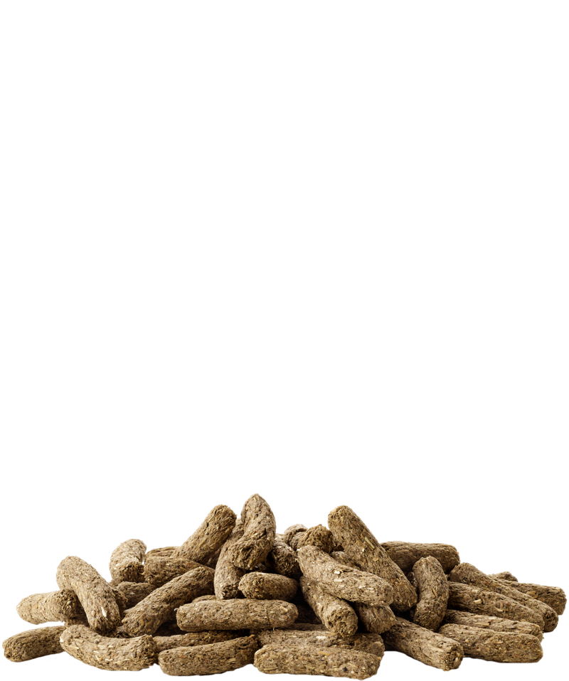 Cuni Adult Complete 500gm