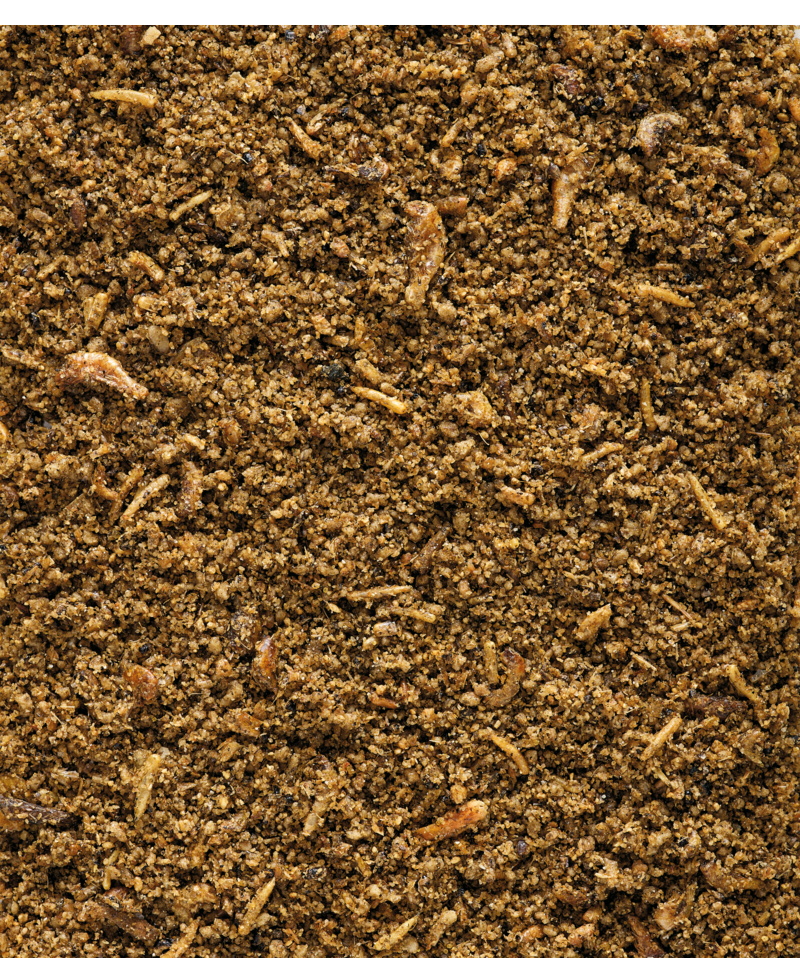 Nutribird Insect Patee 1kg