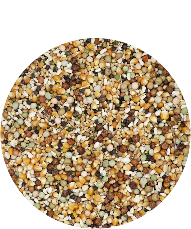 V-L Pet France Spec 20kg