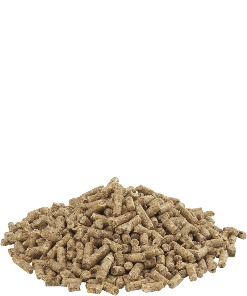 Gold 4 Gallico Pellet 5Kg