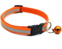 [69012540105ORM] Cat Collar Orange M: W1cm*25-40cm