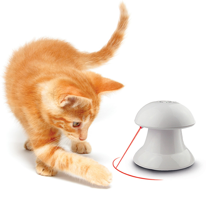 Laser Cat Toy