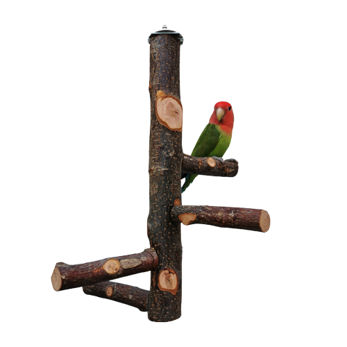 Parrot Apple Wood Ladder Perch W24cm*H30cm