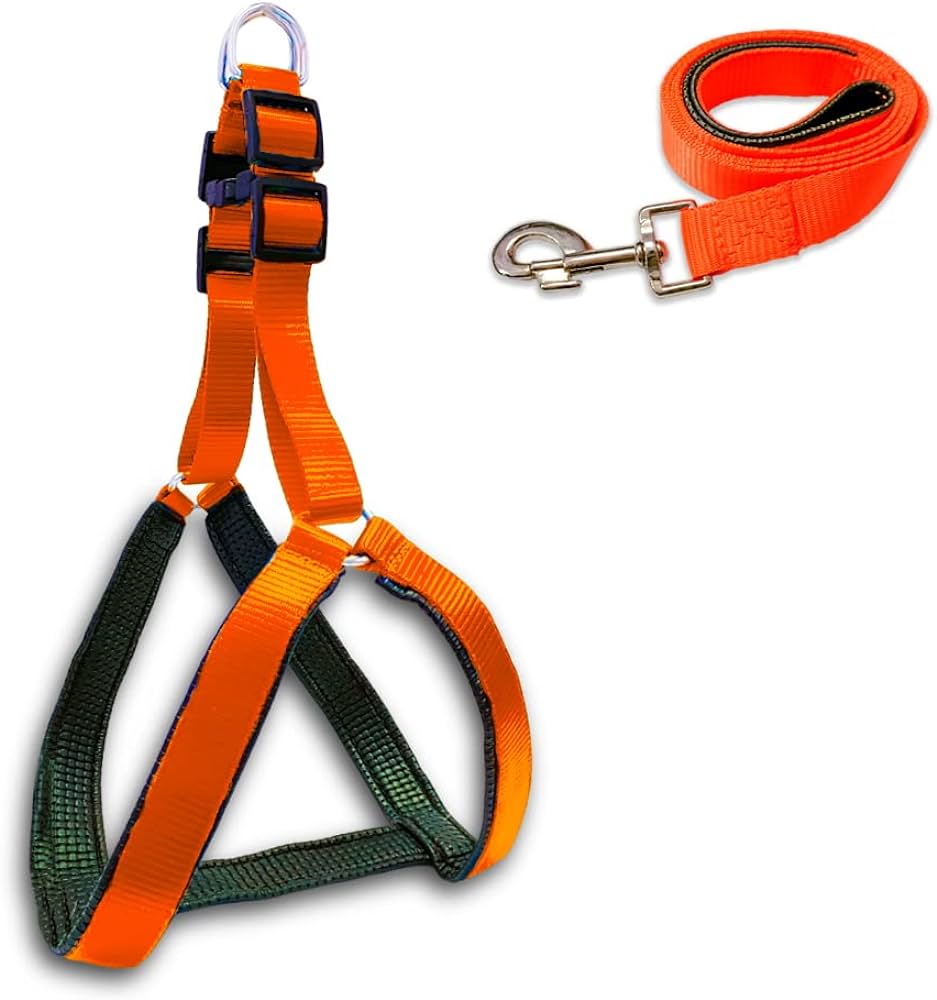 1 Plain (Foam) Leash + Collar L-20Mm*48+18