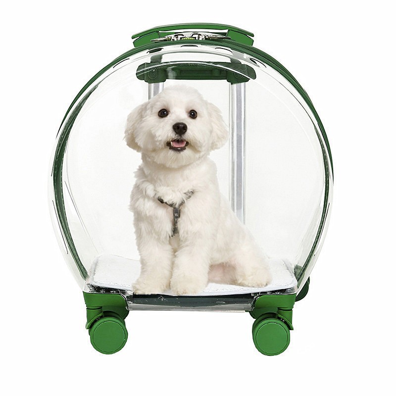 No Door Transparent Pet Trolley Case Green