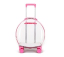 [6942502513NPK] No Door Transparent Pet Trolley Case Pink