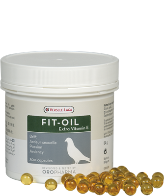 Fit-Oil 300 Capsules
