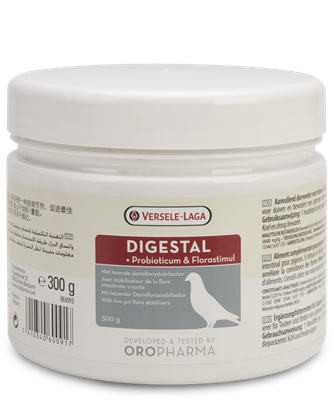 Digestal 300 Gm