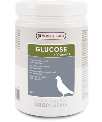 Glucose + Vitamins 400gm
