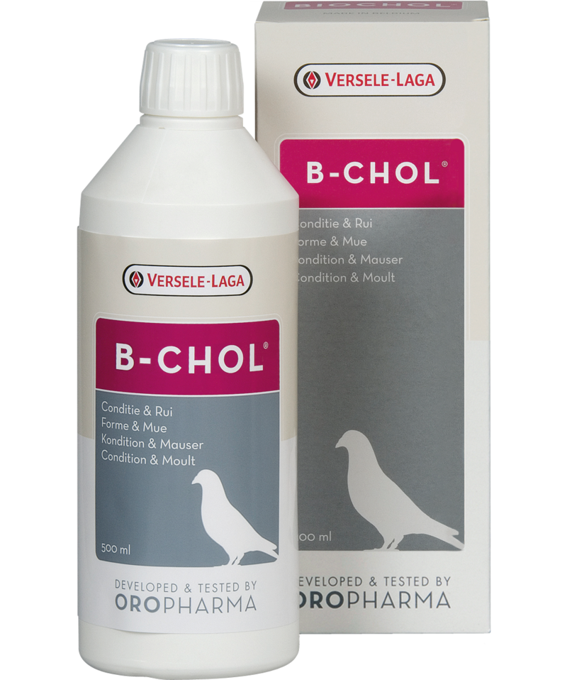 B-Chol - liver tonic 500 ML