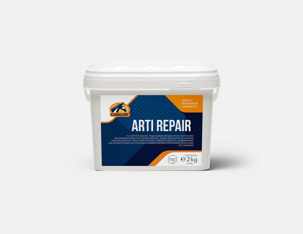 Arti Repair 2kg