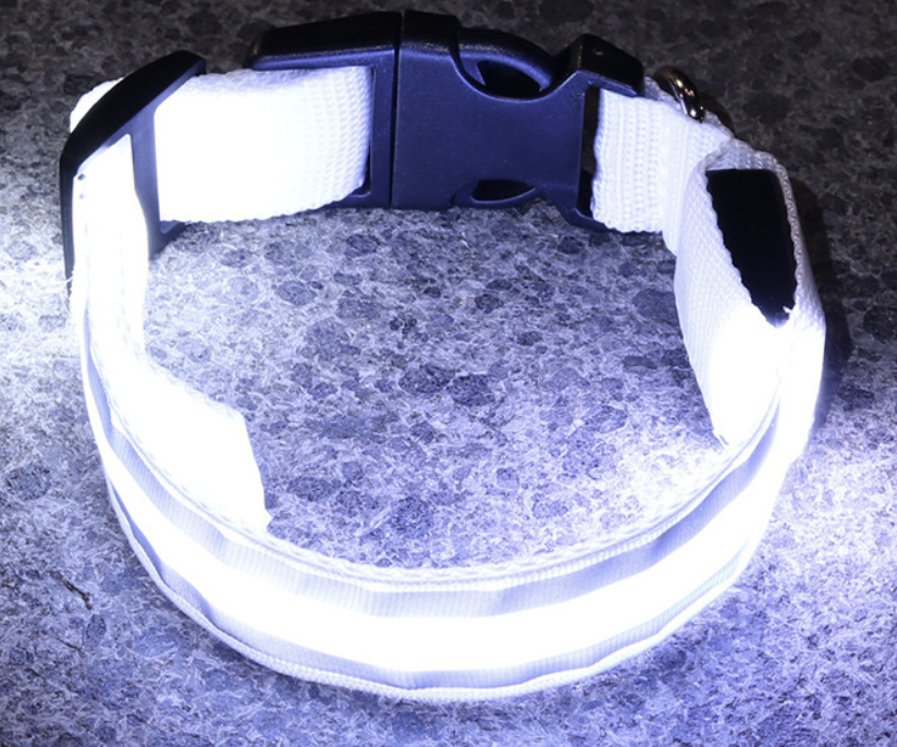 Dog Rechargeable LED Collar L: W2.5cm, Length 45cm-52cm