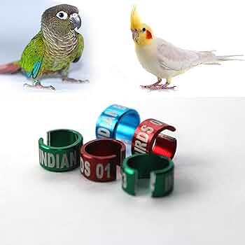 4Ml Tel Aluminum Bird Ring