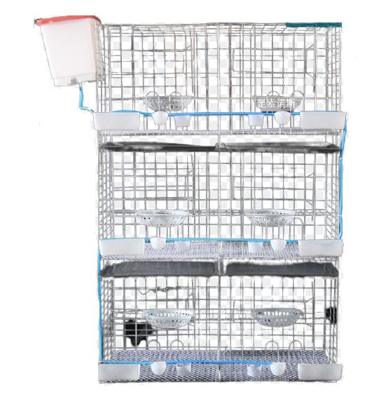 6 Places Pigeon Cage With Tray
