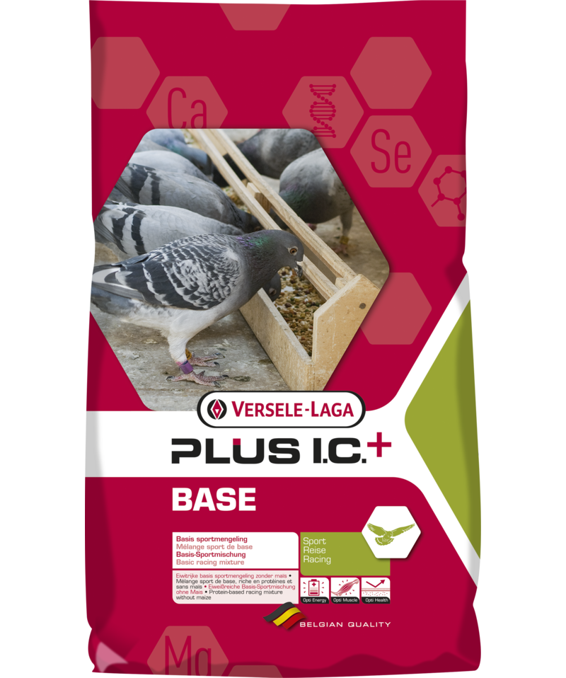 Base Plus I C + 20kg