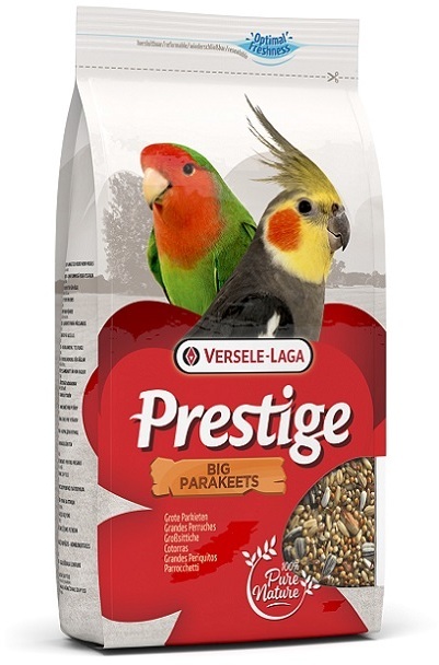 Big Parakeets 4Kg