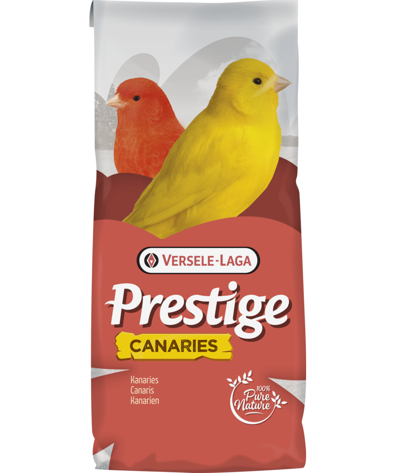 Canary 1 Kg