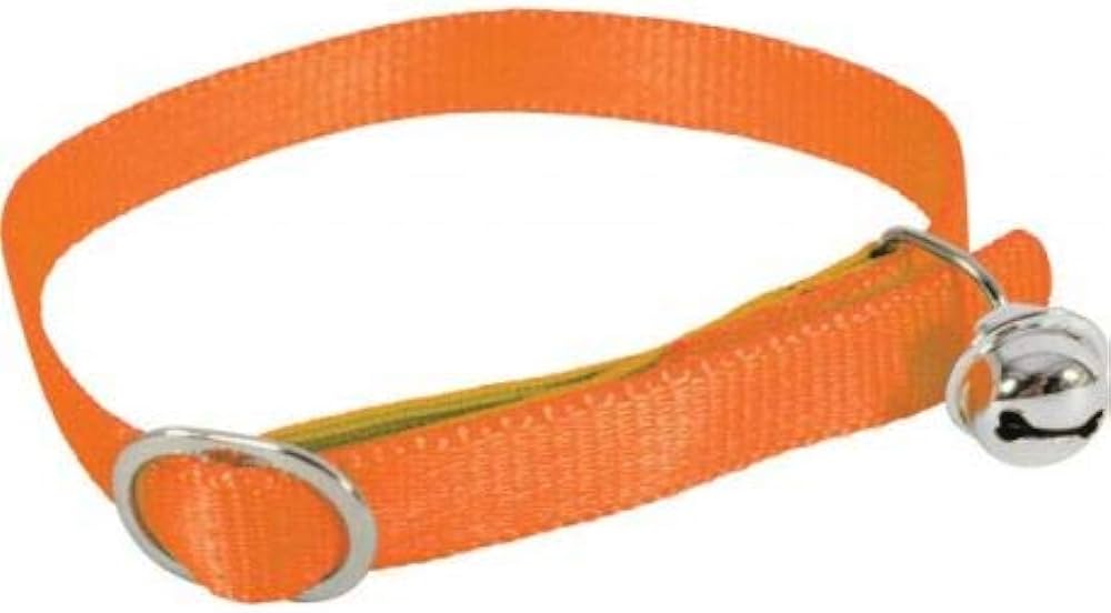 Cat Collar 30Cm 10Mm Orange