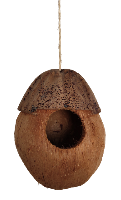 Coconut Bird Toy