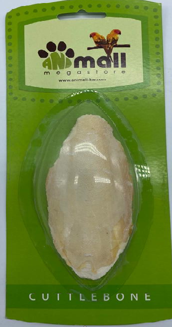 عظمة الحبار طول 21 سم * 8