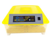 48 Eggs incubator 