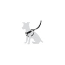 [503550] Easy Walker - S