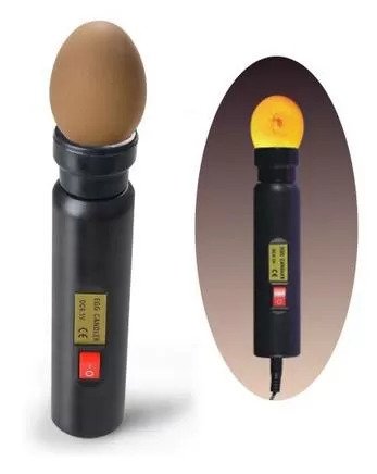 Egg Tester Detecting Fertilized Eggs Foc
