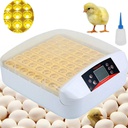 [001900644218] Eggs 56 Incubator With Led
