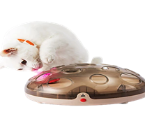 Interactive Toy Crazy Play And Mouse Training