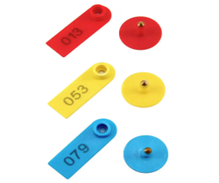 Goat Pear Tag With Black Numbering
