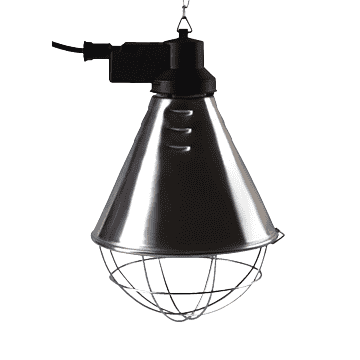 Hanger For Warm Chicken Lamp Without lamp