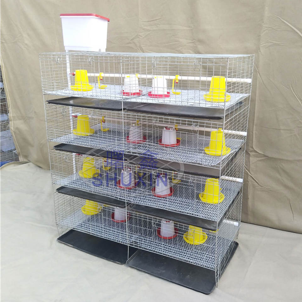 Hebei Baby Chicken Cage 140*70*160 Cm