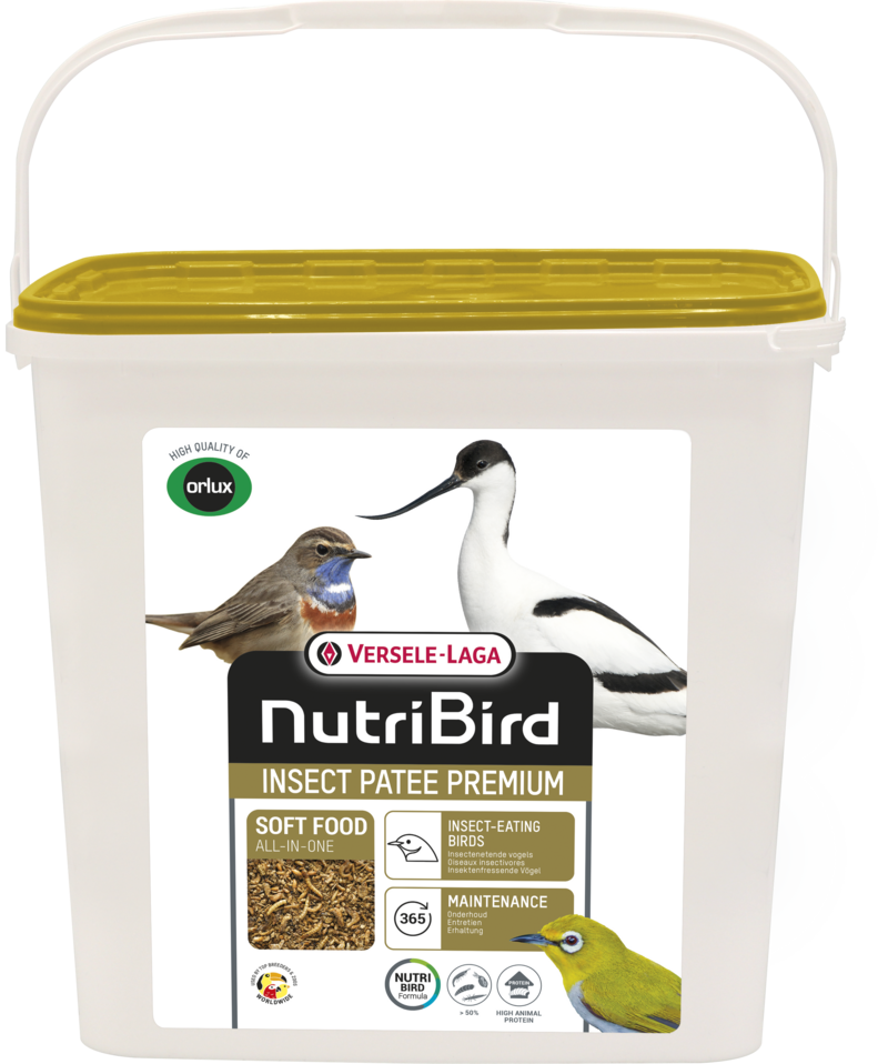 Nutribird Insect Patee 2Kg