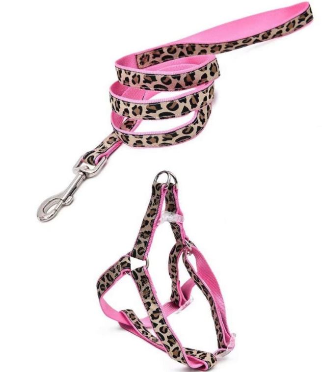 رباط ملون 15 مم * 48+16 / 24 سم