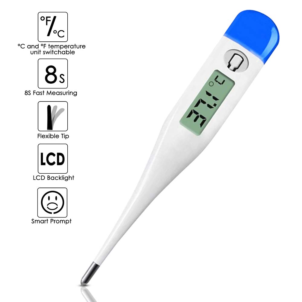 Mercury Thermometer