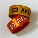 [AvianS035] Orange-S