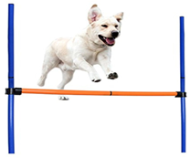 Pet training agility rectangular stand