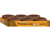 Pickstone Red Tray (5 + 1) 3.9kg