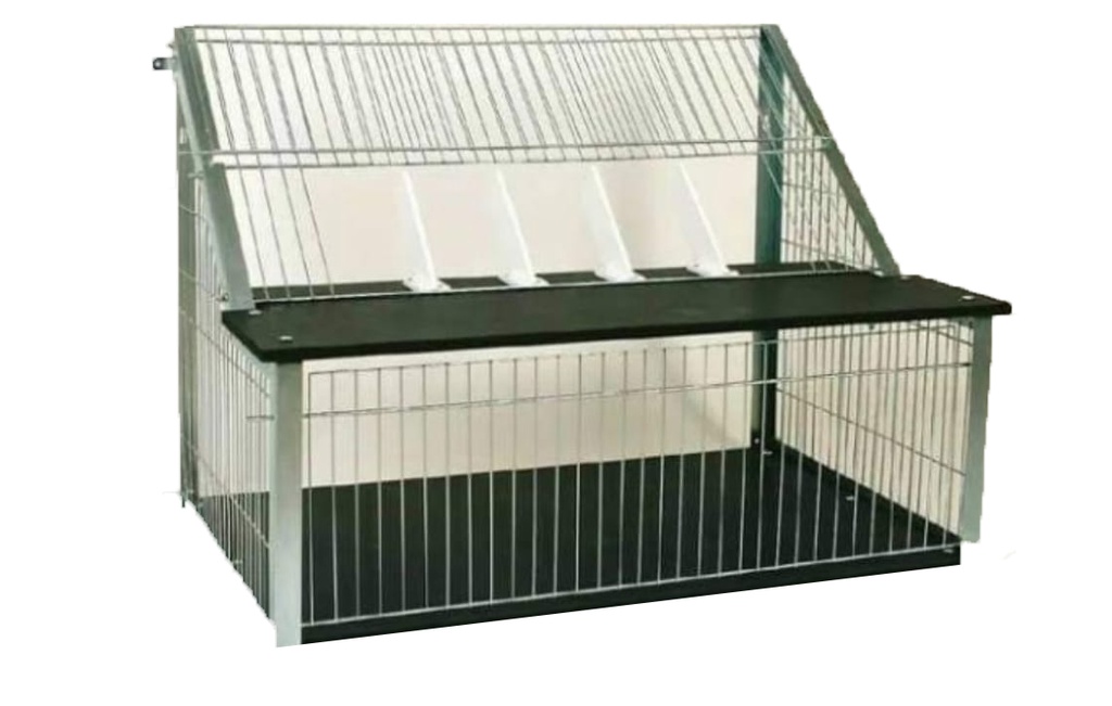 Pigeon Spotnik Trap 1