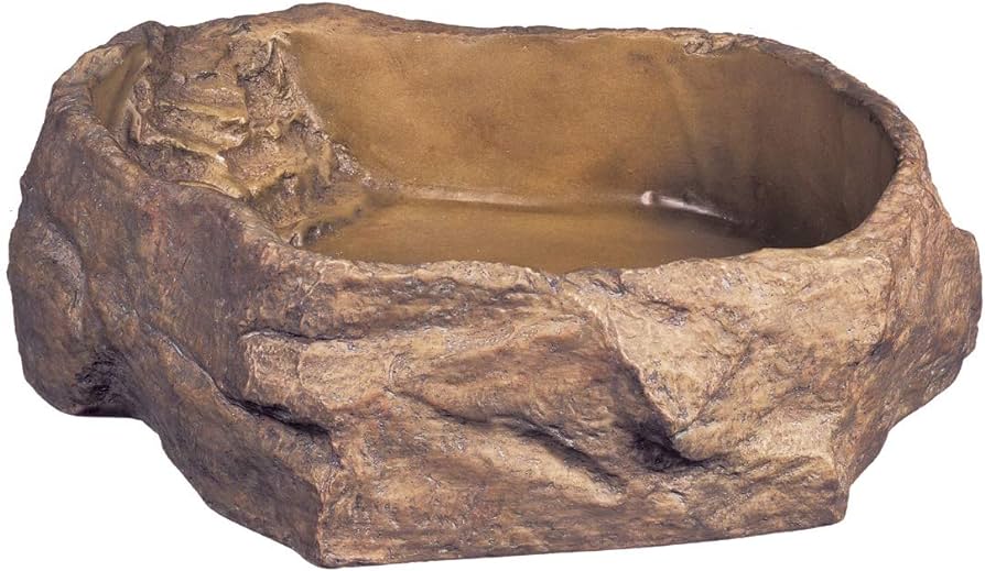 Reptile Bowl Extra Large