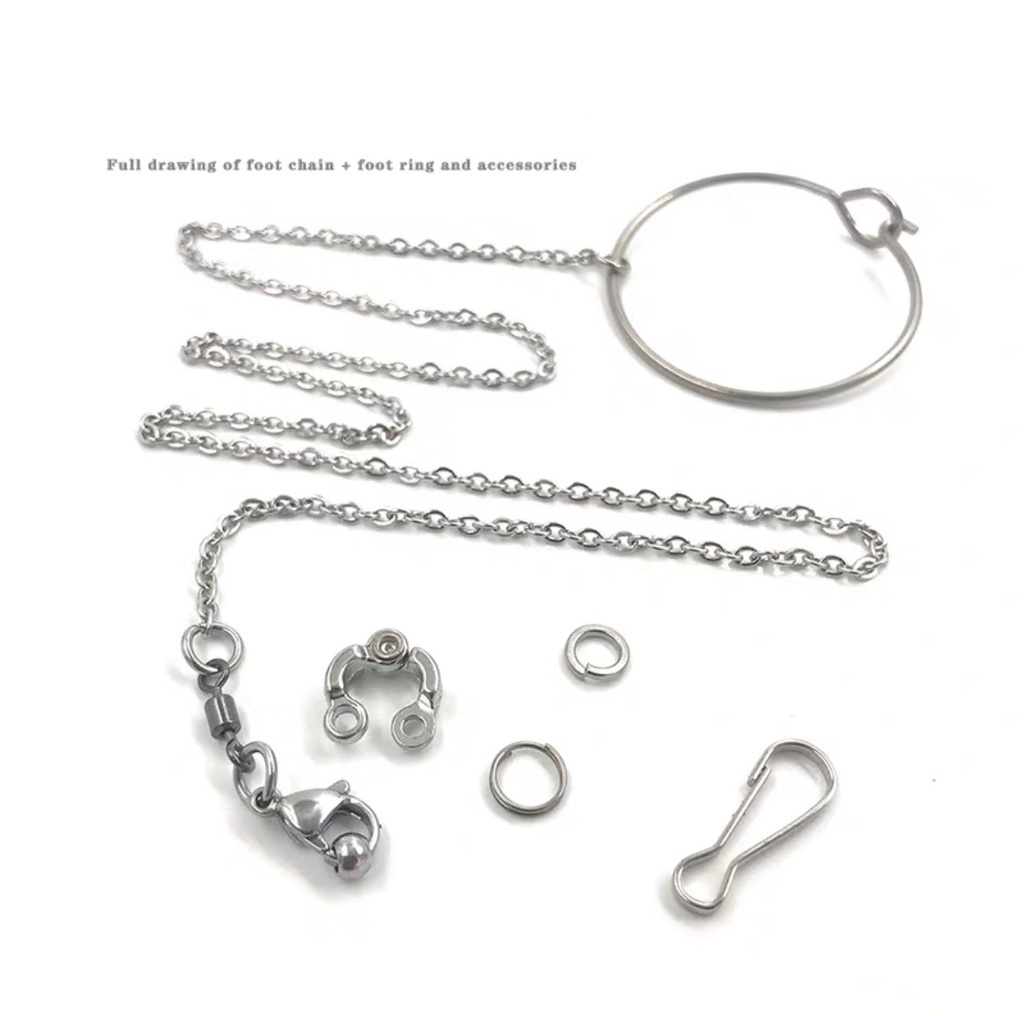  Size No.8 Parrot Foot Ring + Thick Chain L31cm