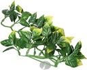 [405672] Terr. Plant Amapallo 80Cm
