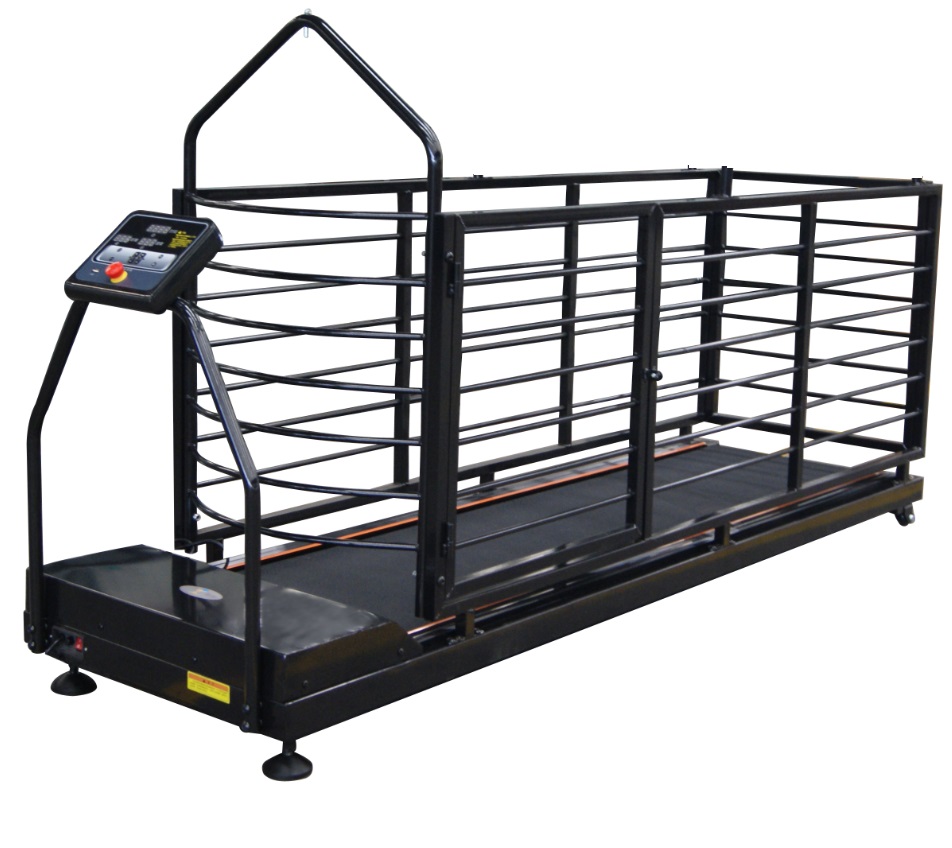 جهاز مشي للكلاب بميل 201*52 سم