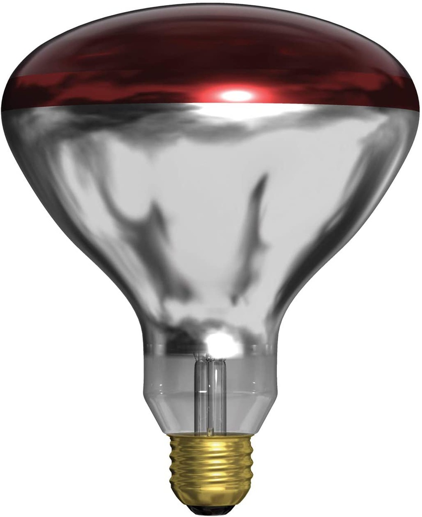 Warm lamp For Chicken
