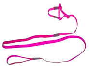 Parrot Harness Medium Pink